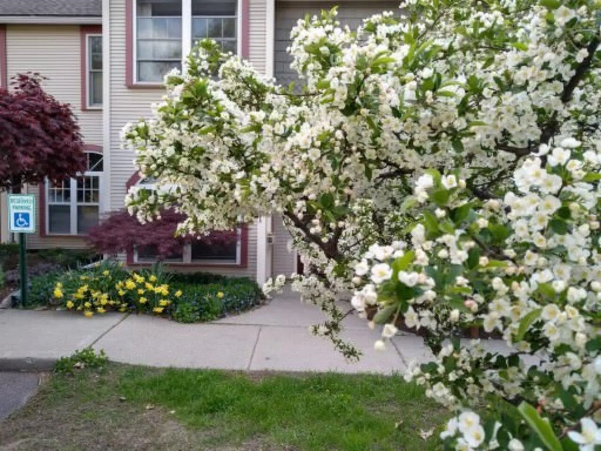 53 Northshore Drive Burlington VT 05408