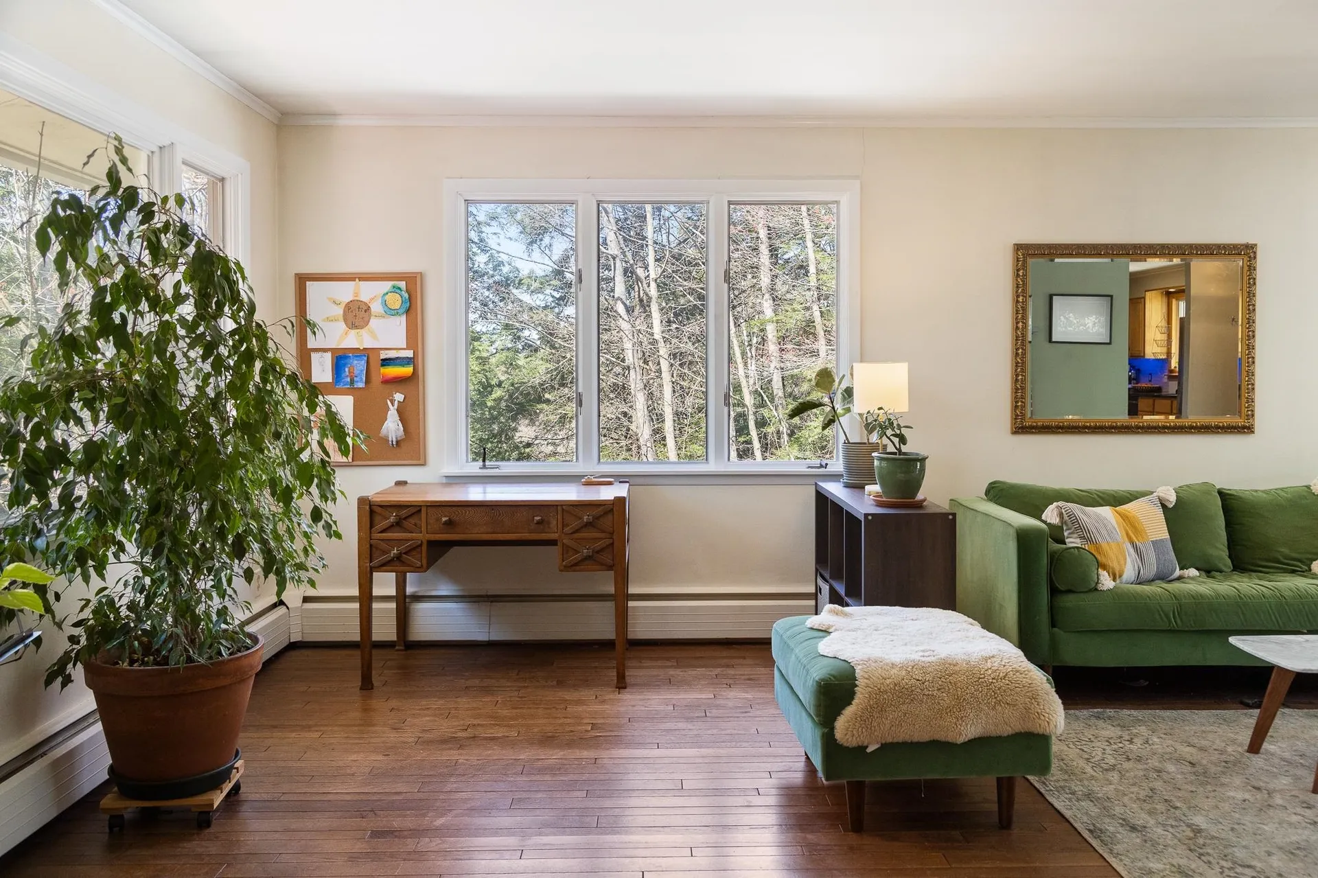 19 Hubbard Park Drive Montpelier VT 05602