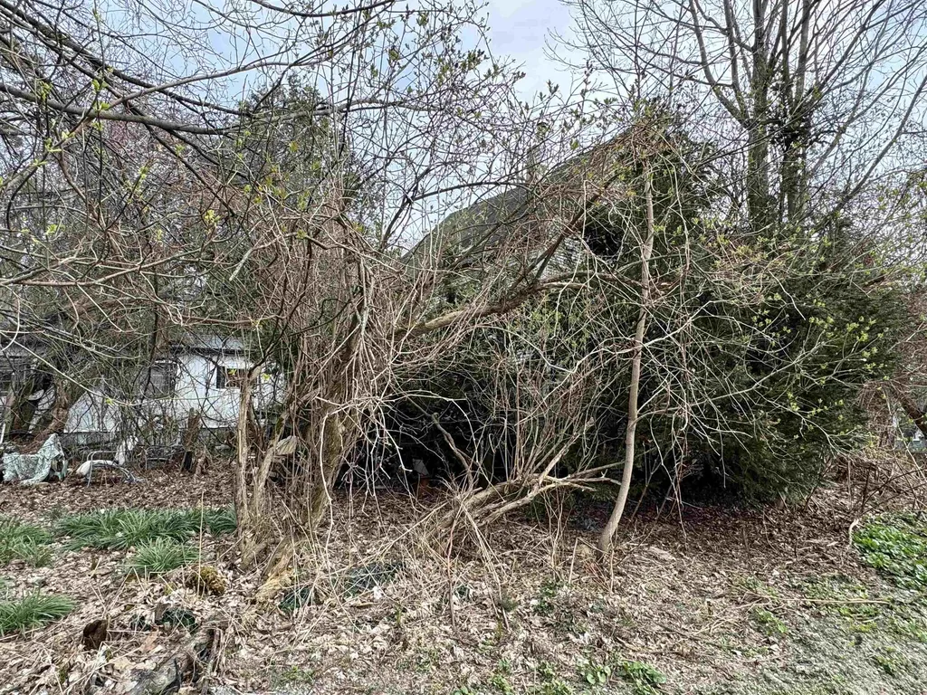 63 Basin Street Bristol VT 05443