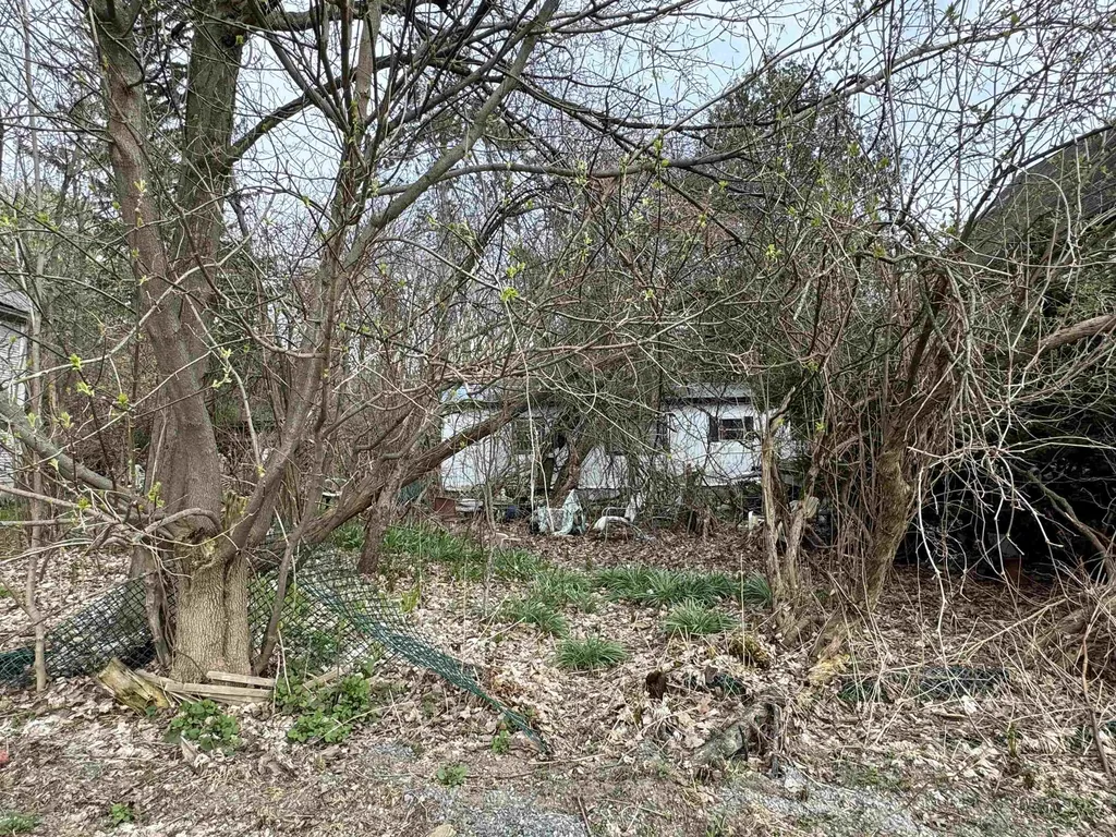 63 Basin Street Bristol VT 05443