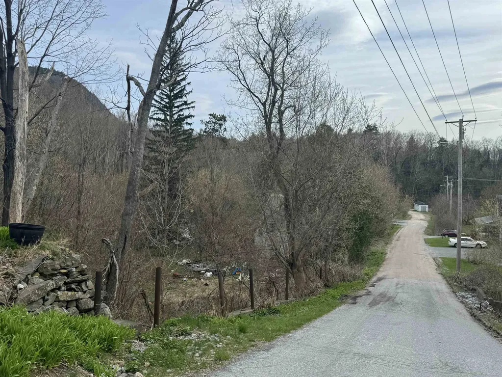 63 Basin Street Bristol VT 05443