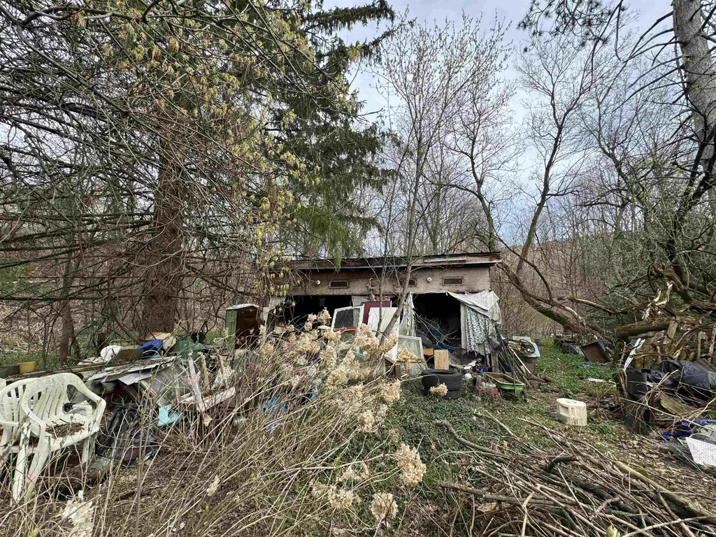 63 Basin Street Bristol VT 05443