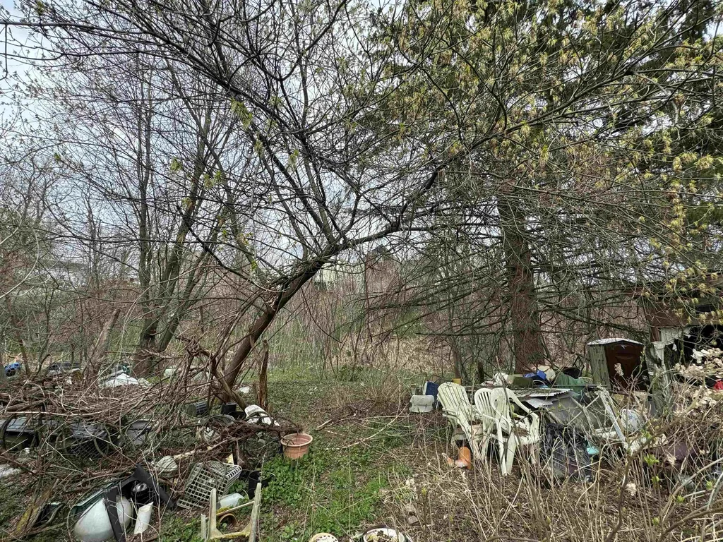 63 Basin Street Bristol VT 05443