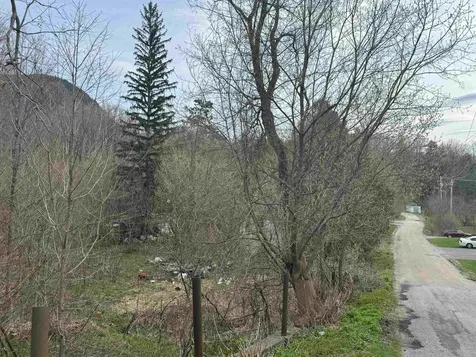 51 Basin Street Bristol VT 05443