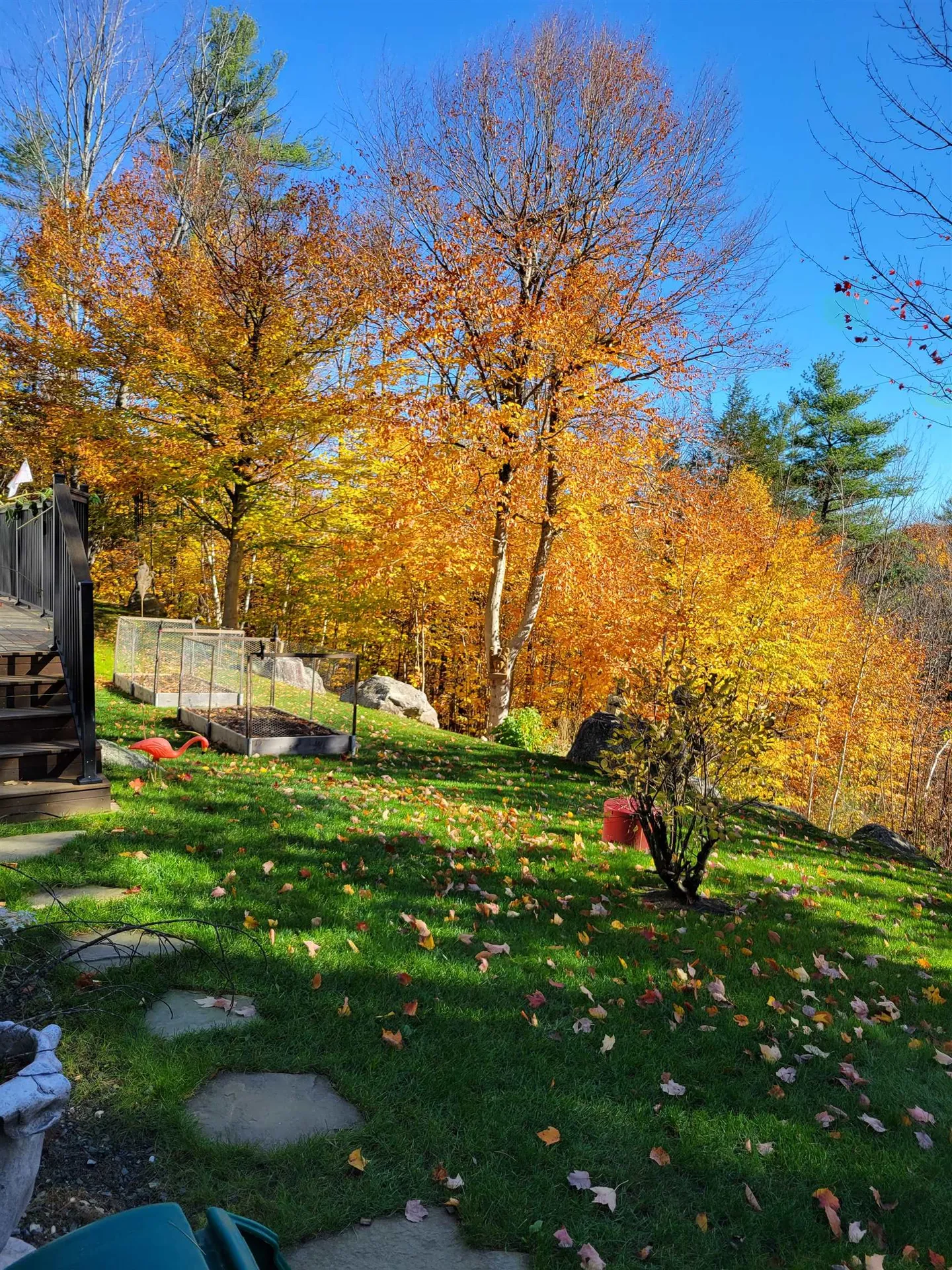 14 Mountain Overlook Wilmot NH 03287