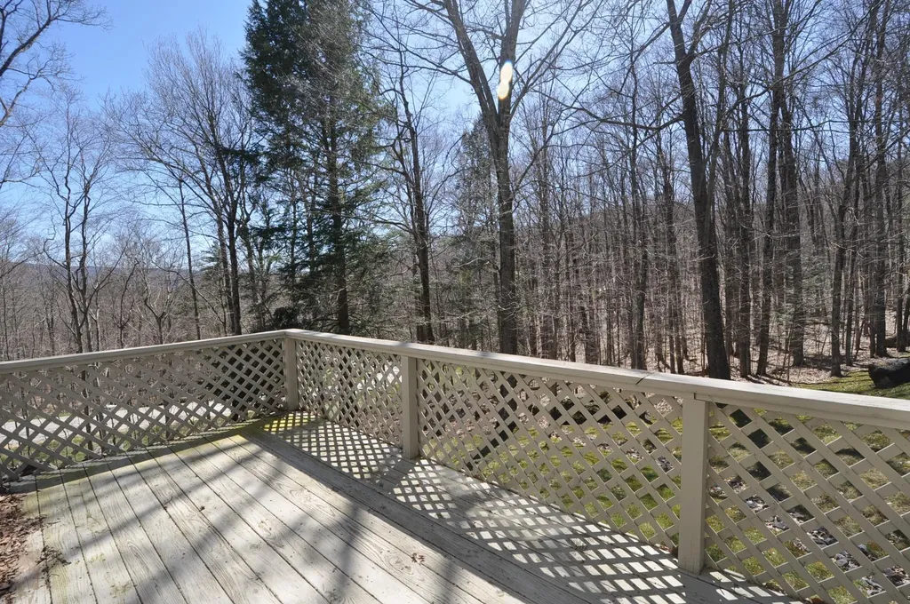 163 Eagle Rise Road Manchester VT 05255