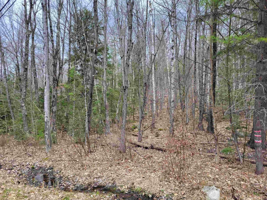 Hemlock Brook & Wicom Road Bristol NH 03222