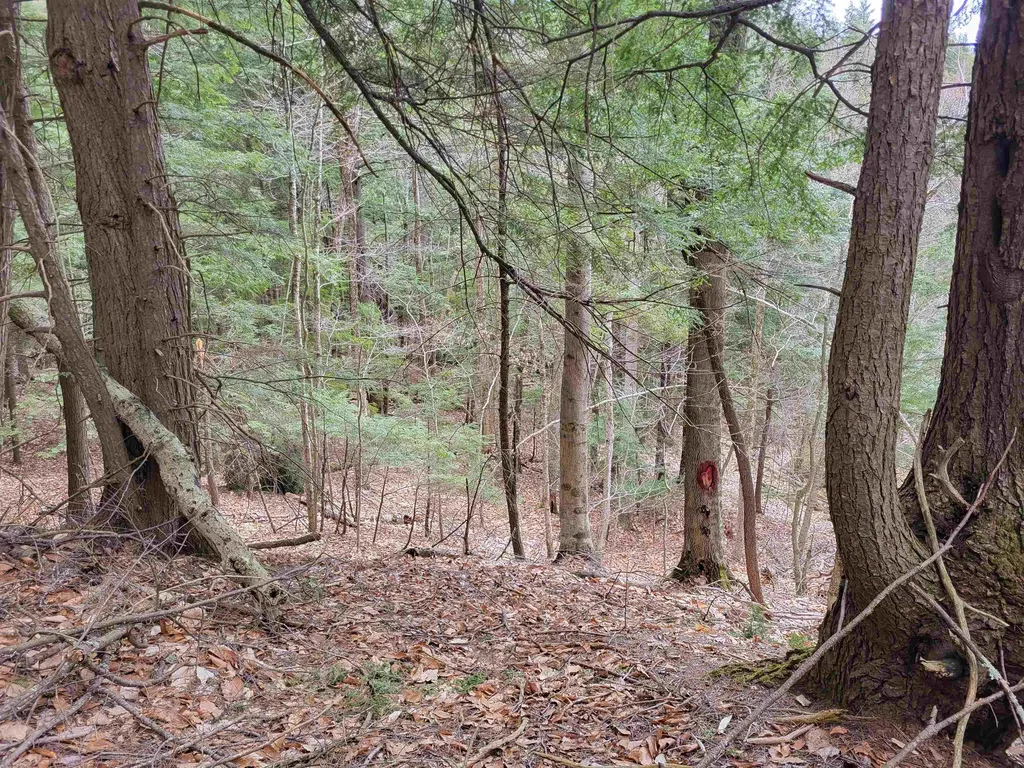 Hemlock Brook & Wicom Road Bristol NH 03222