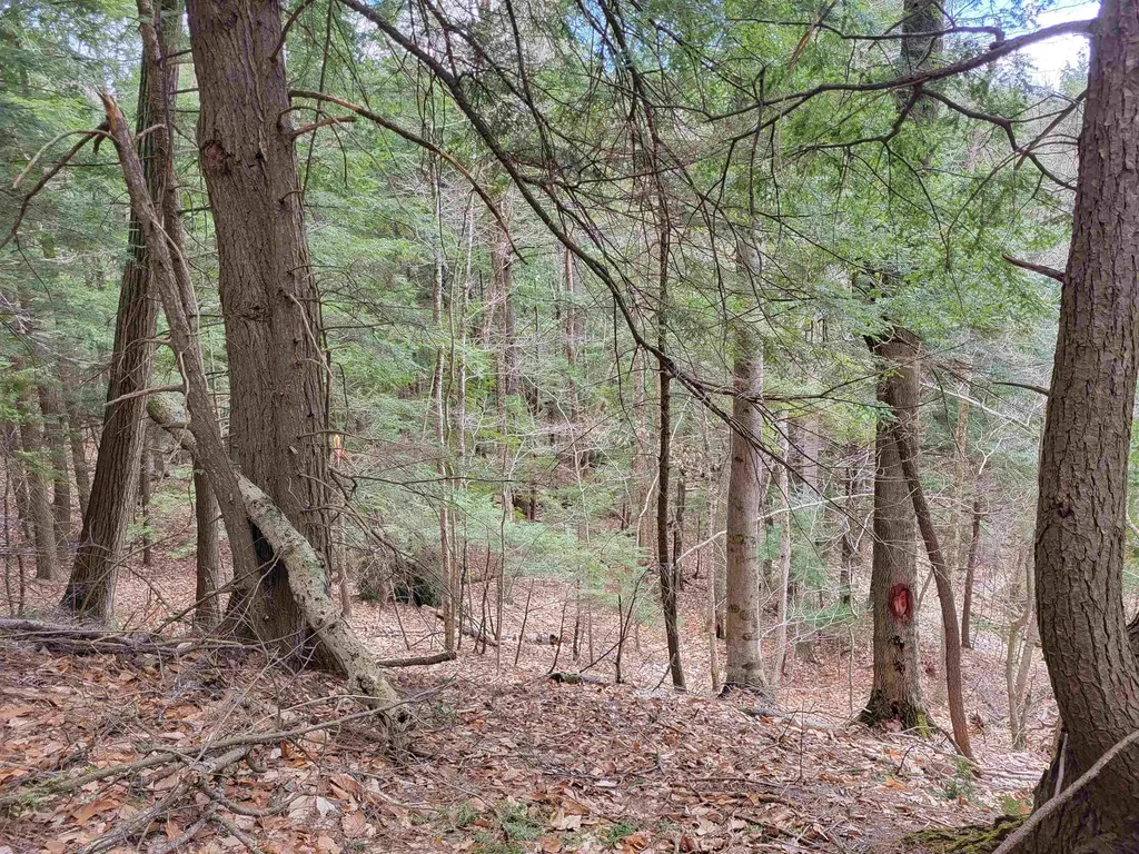 Hemlock Brook & Wicom Road Bristol NH 03222