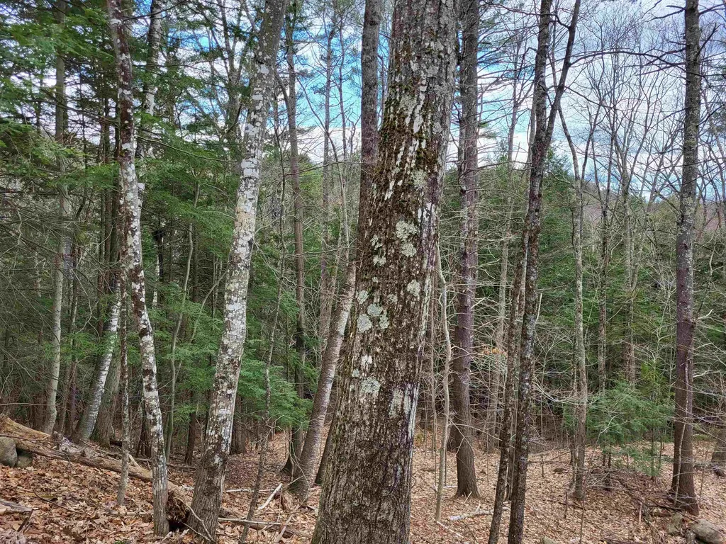 Hemlock Brook & Wicom Road Bristol NH 03222