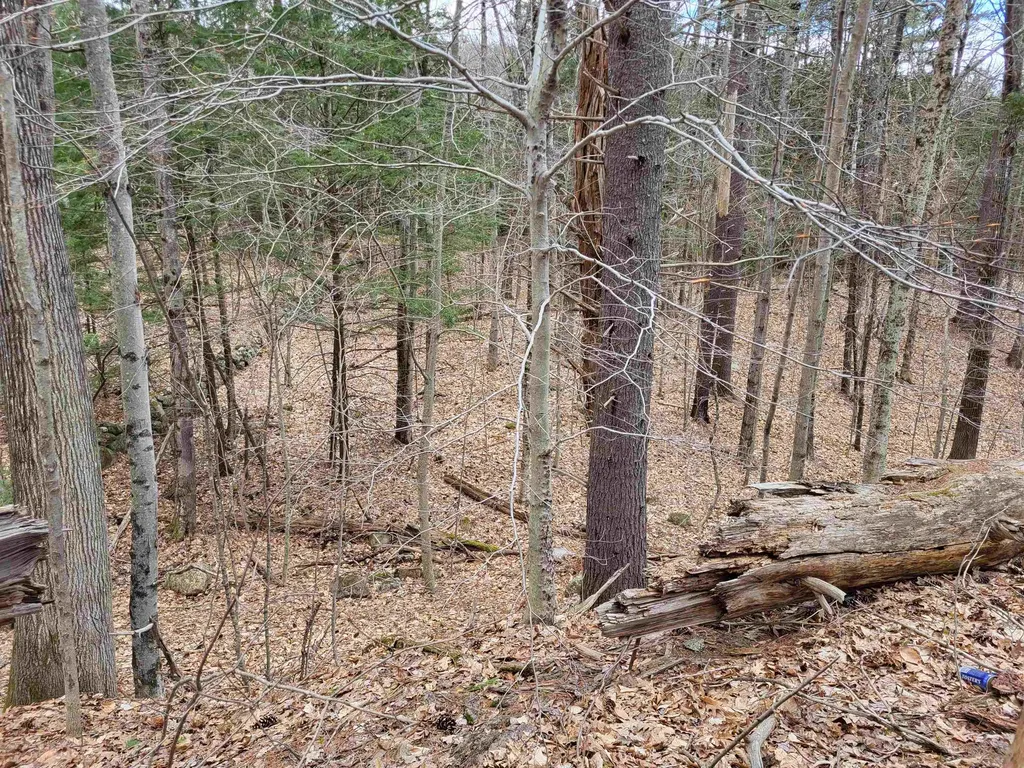 Hemlock Brook & Wicom Road Bristol NH 03222