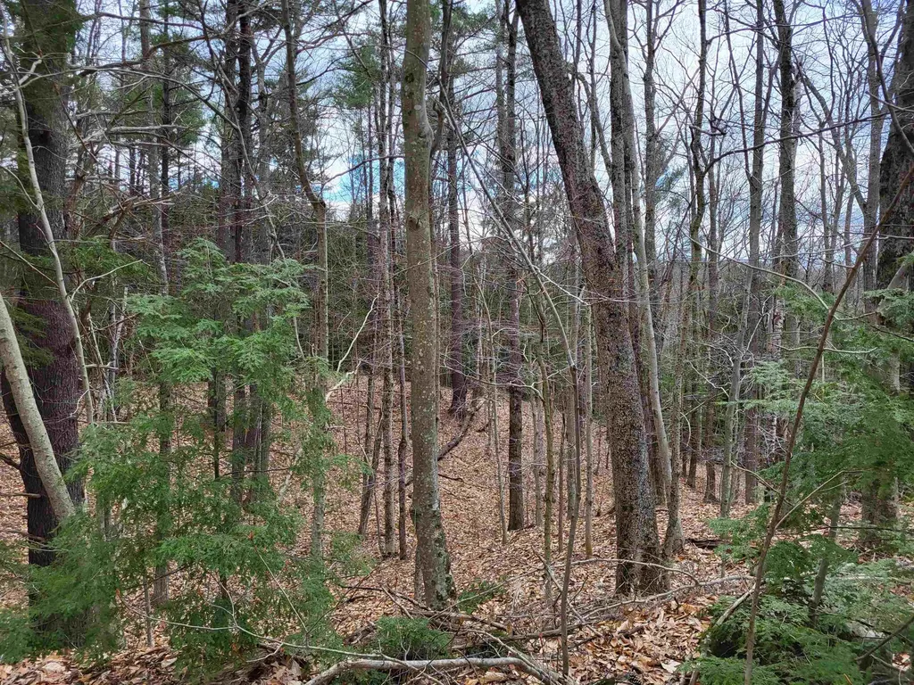 Hemlock Brook & Wicom Road Bristol NH 03222