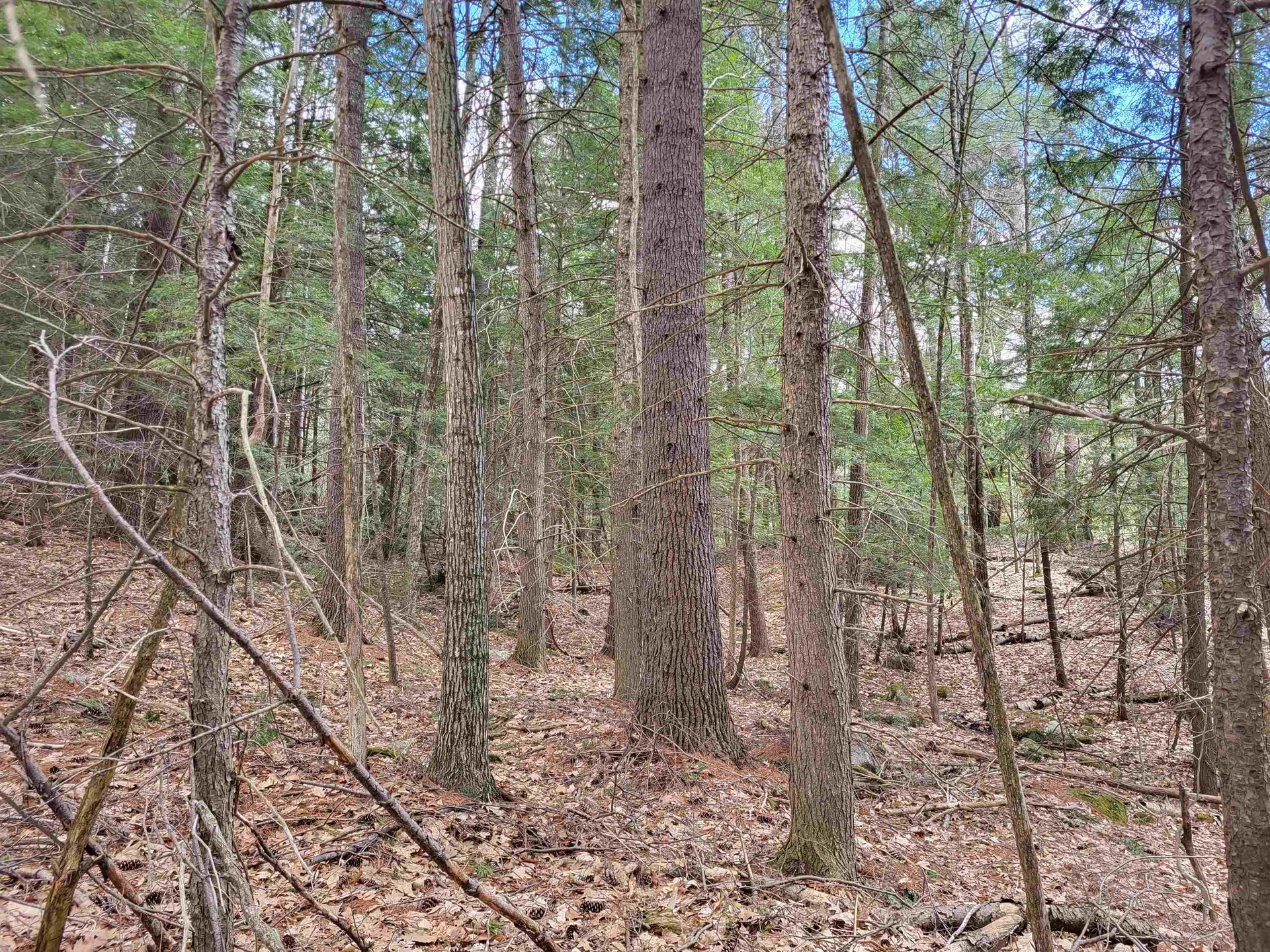 Hemlock Brook & Wicom Road Bristol NH 03222
