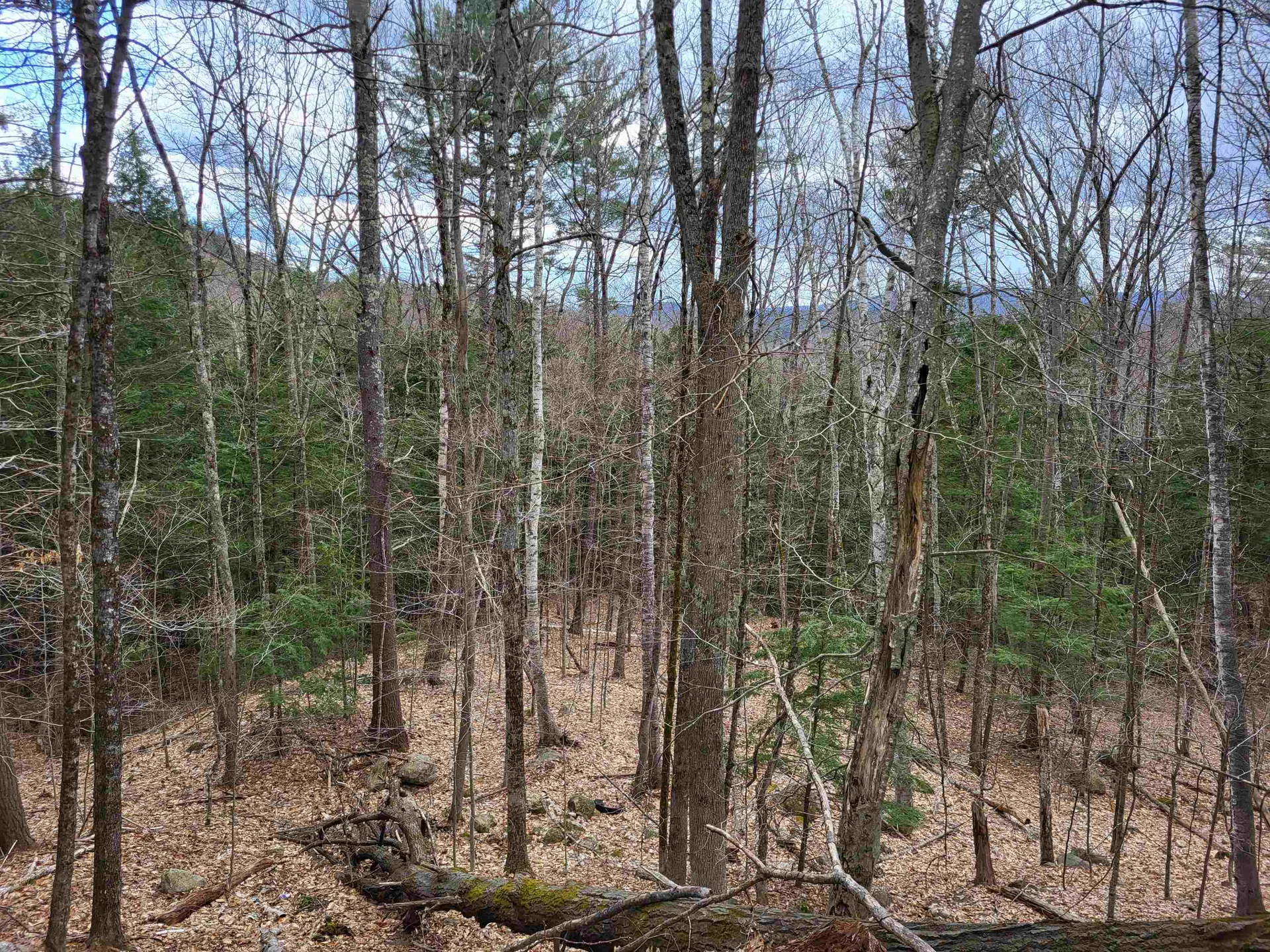 Hemlock Brook & Wicom Road Bristol NH 03222