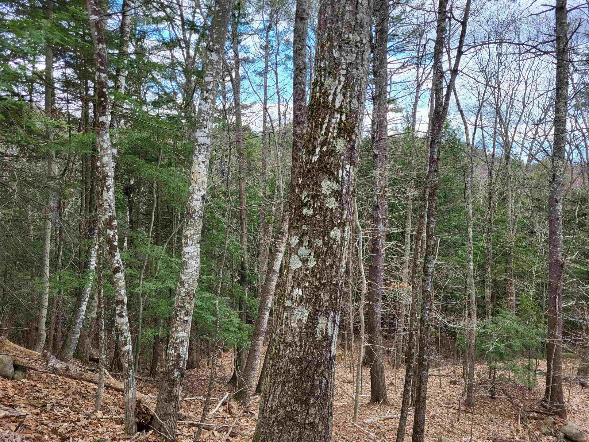 Hemlock Brook & Wicom Road Bristol NH 03222