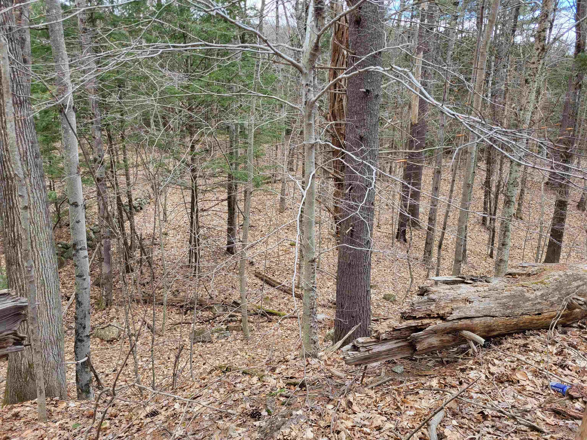 Hemlock Brook & Wicom Road Bristol NH 03222