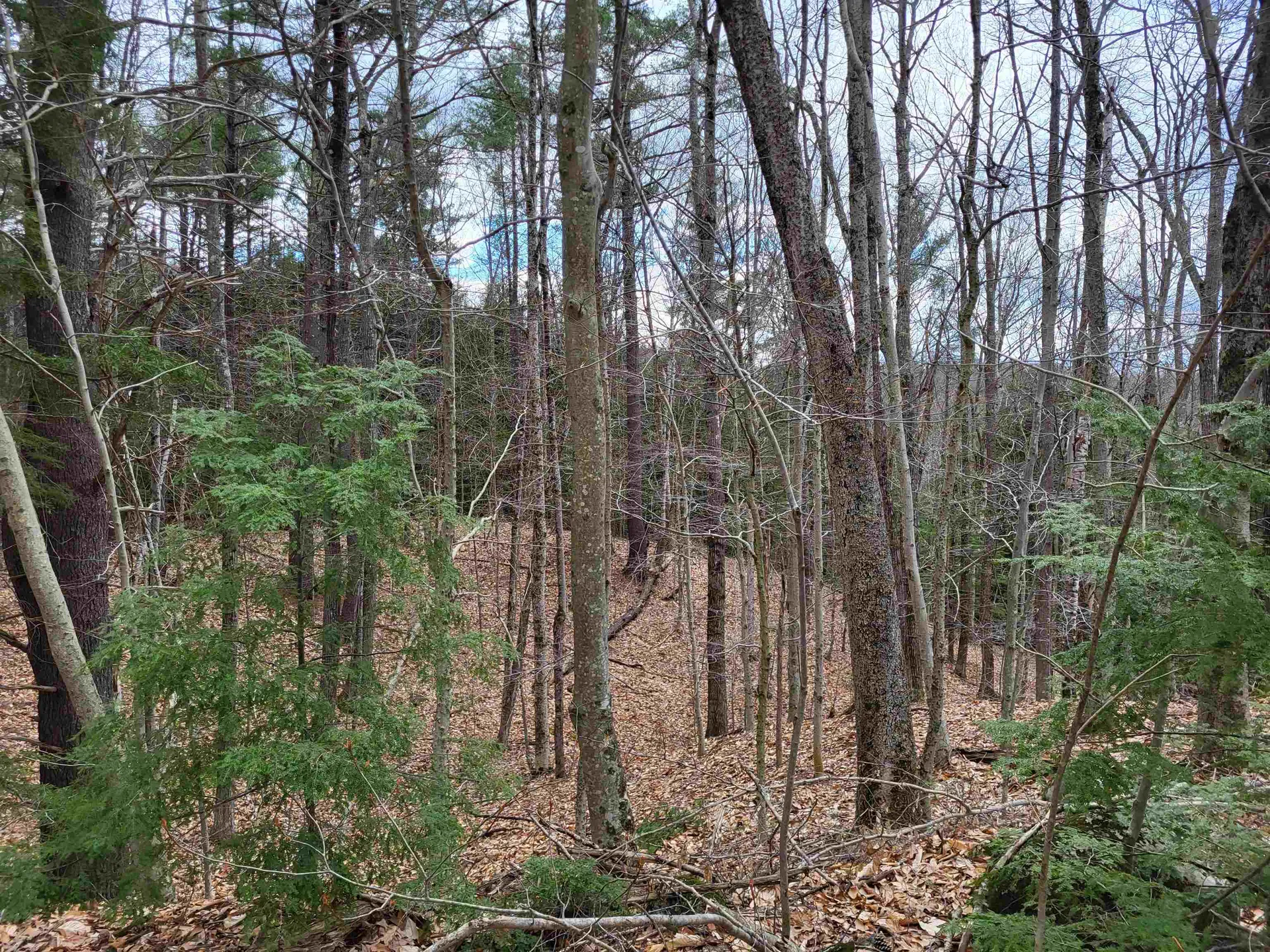 Hemlock Brook & Wicom Road Bristol NH 03222