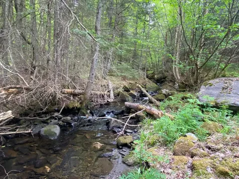 South Of Hudson Road Canaan VT 05903