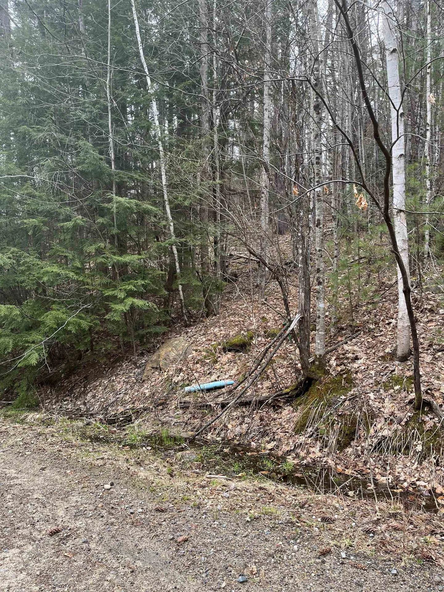 22-3 Morrill Circle Campton NH 03223