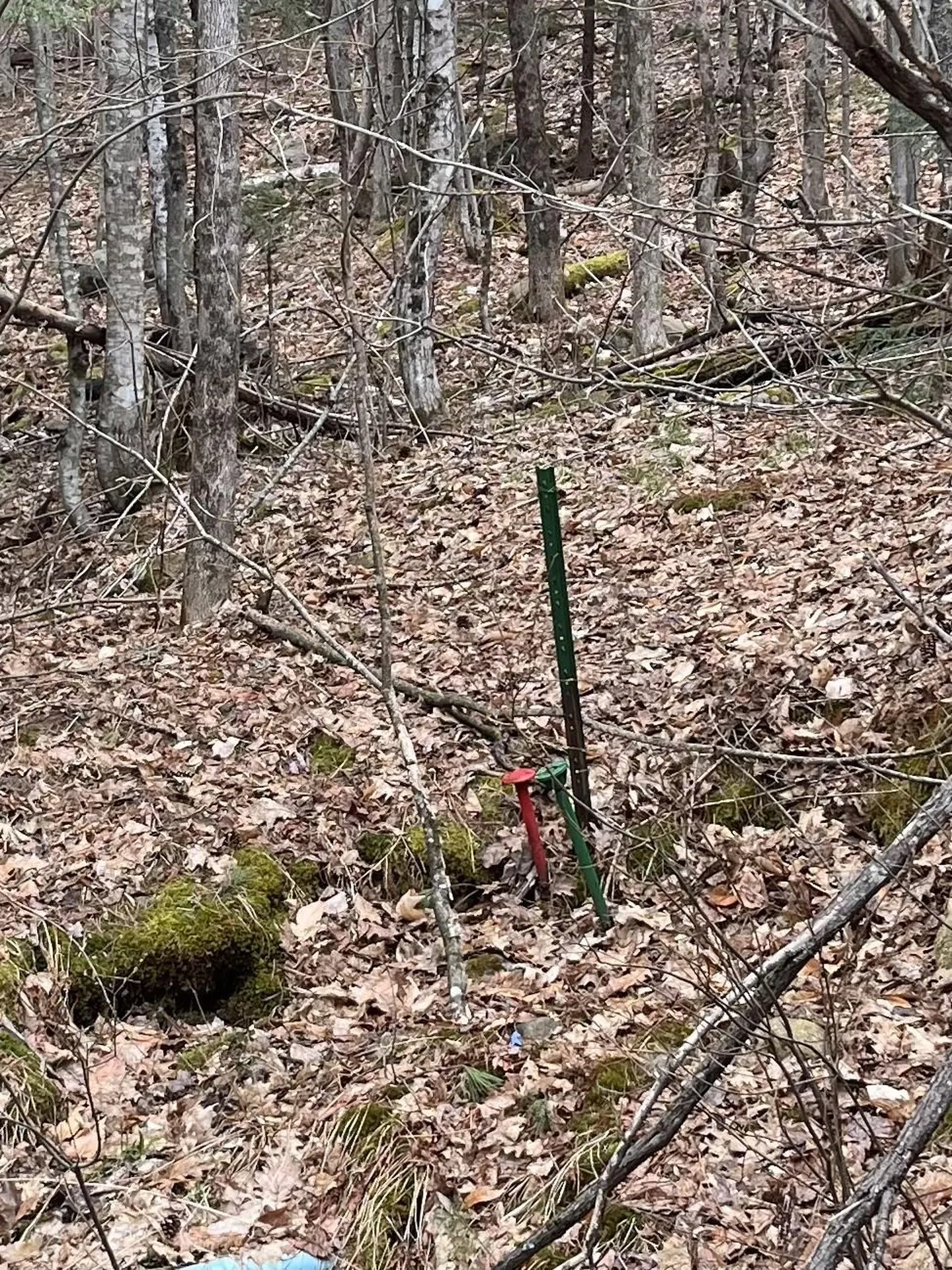 22-3 Morrill Circle Campton NH 03223