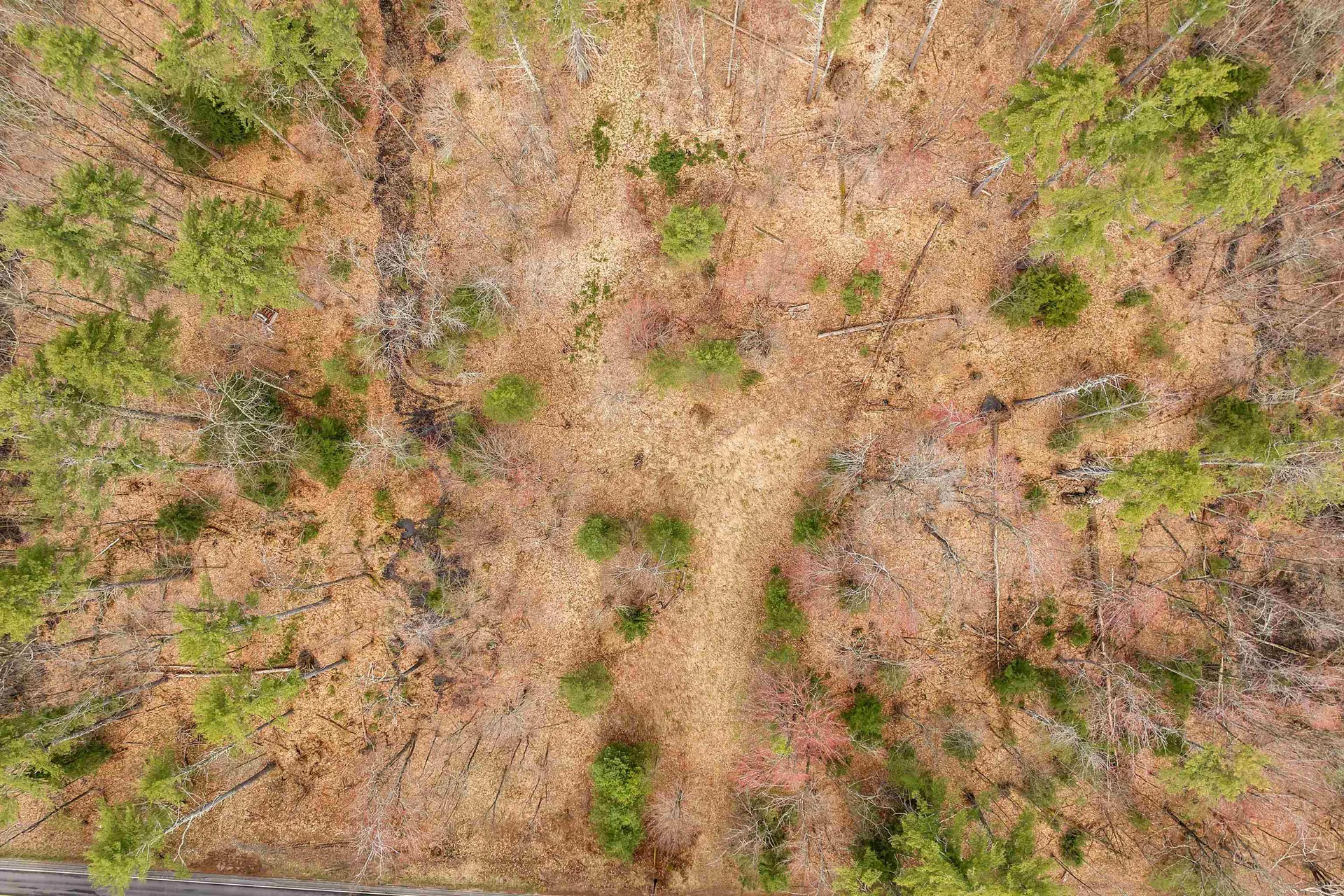 00 Dane Road Center Harbor NH 03226