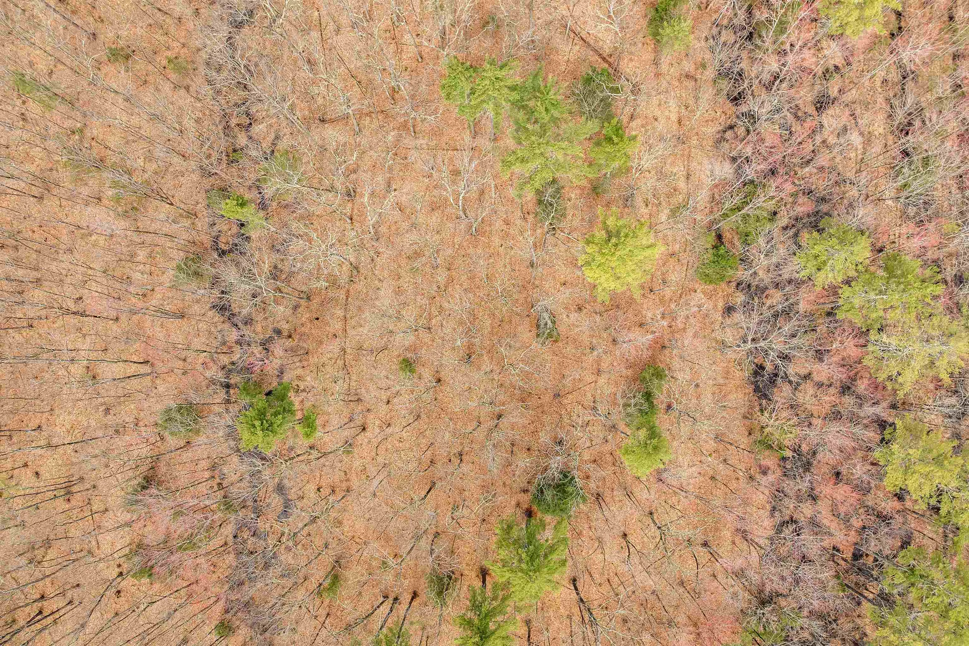 00 Dane Road Center Harbor NH 03226