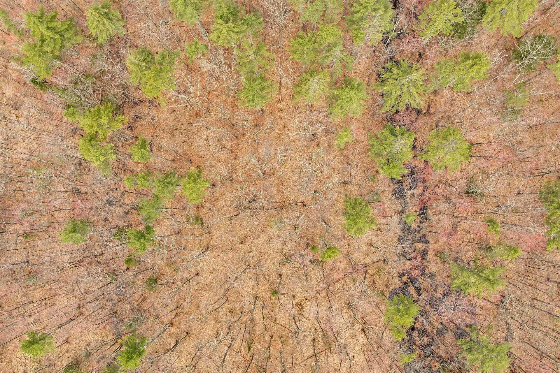 00 Dane Road Center Harbor NH 03226