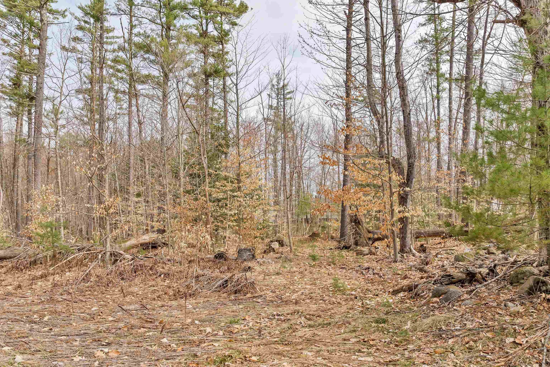 00 Dane Road Center Harbor NH 03226