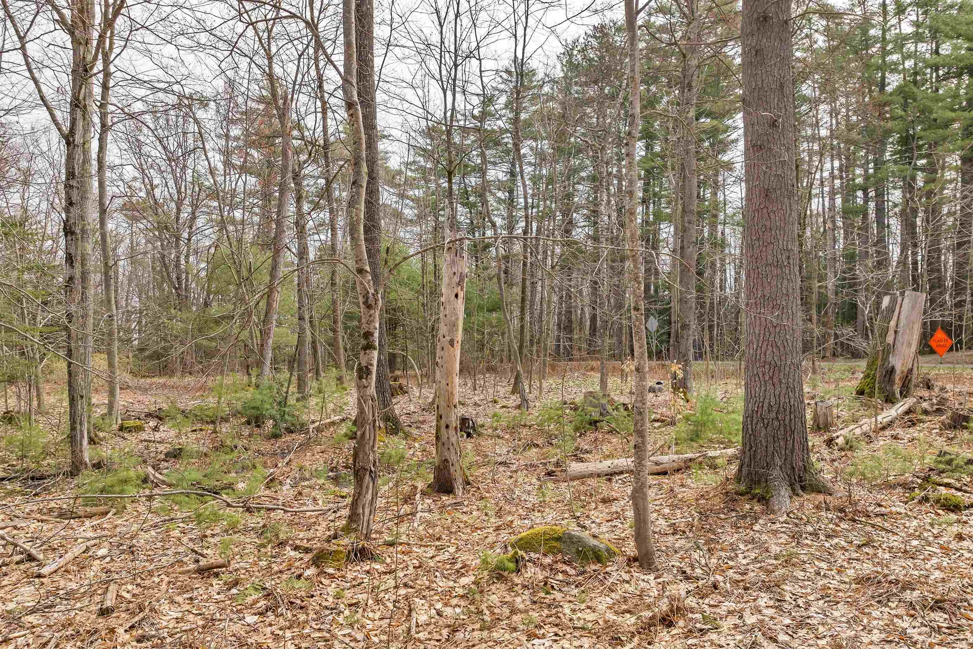 00 Dane Road Center Harbor NH 03226