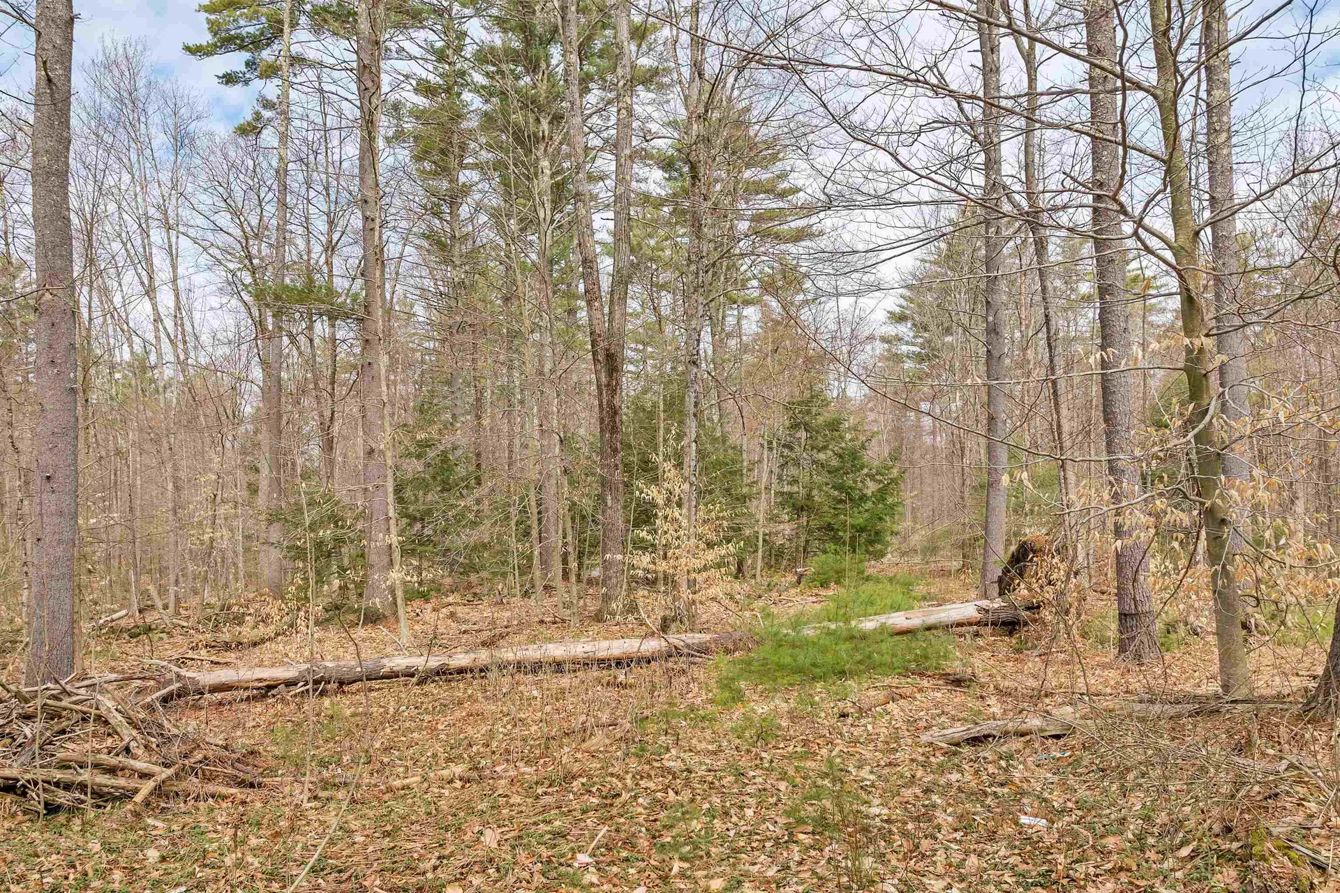 00 Dane Road Center Harbor NH 03226