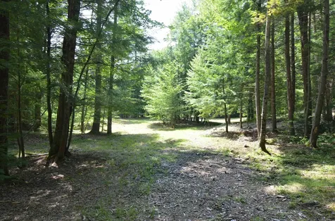 205 Shindagan Road Wilmot NH 03287