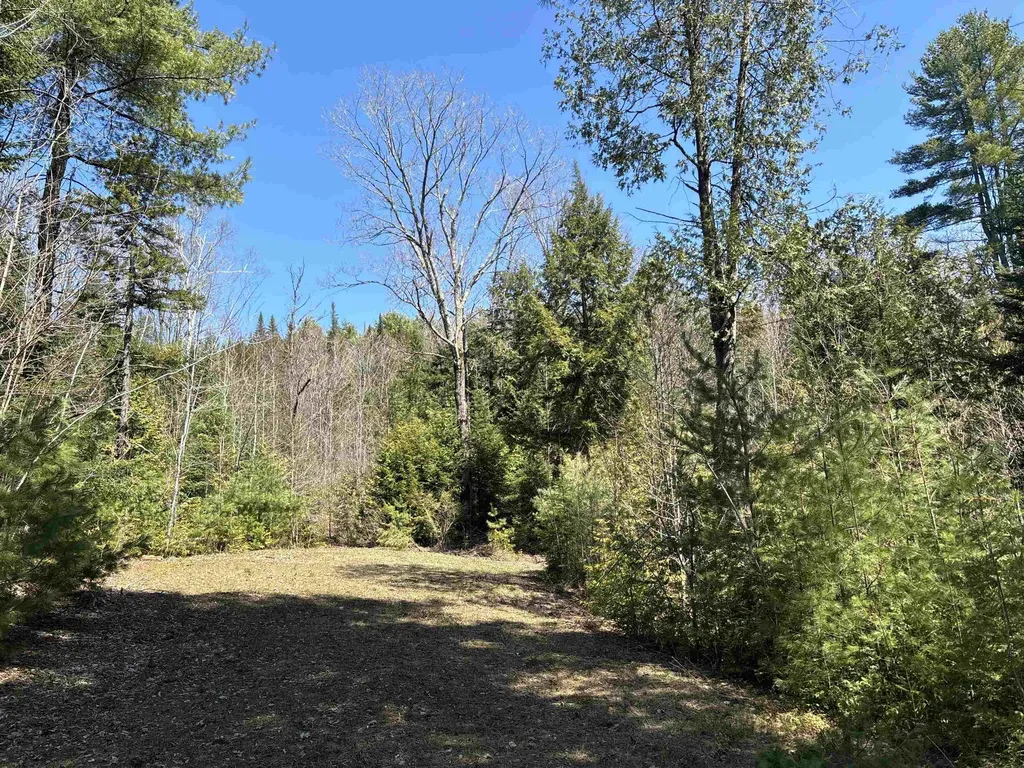 1201 East Peacham Road Peacham, VT Real Estate MLS 4992481