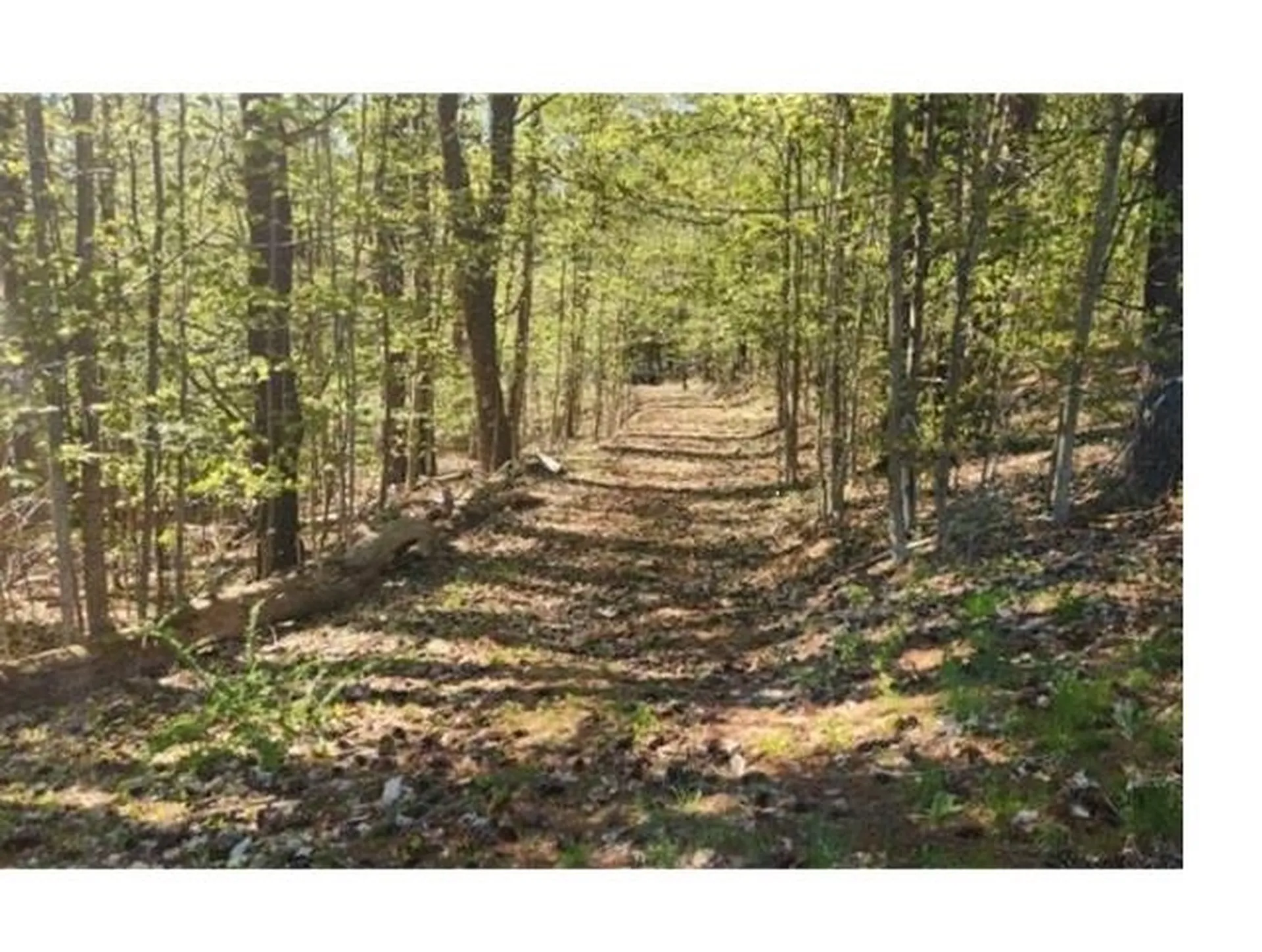 8 Fiskill Farm Road Concord NH 03301