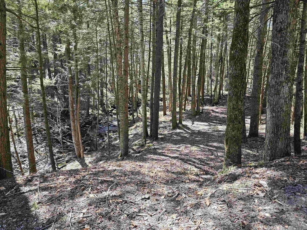 1495 Chester Road Grafton VT 05146