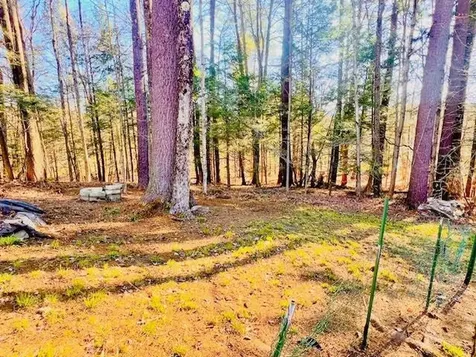 81 Carriage Hill Road Brattleboro VT 05301