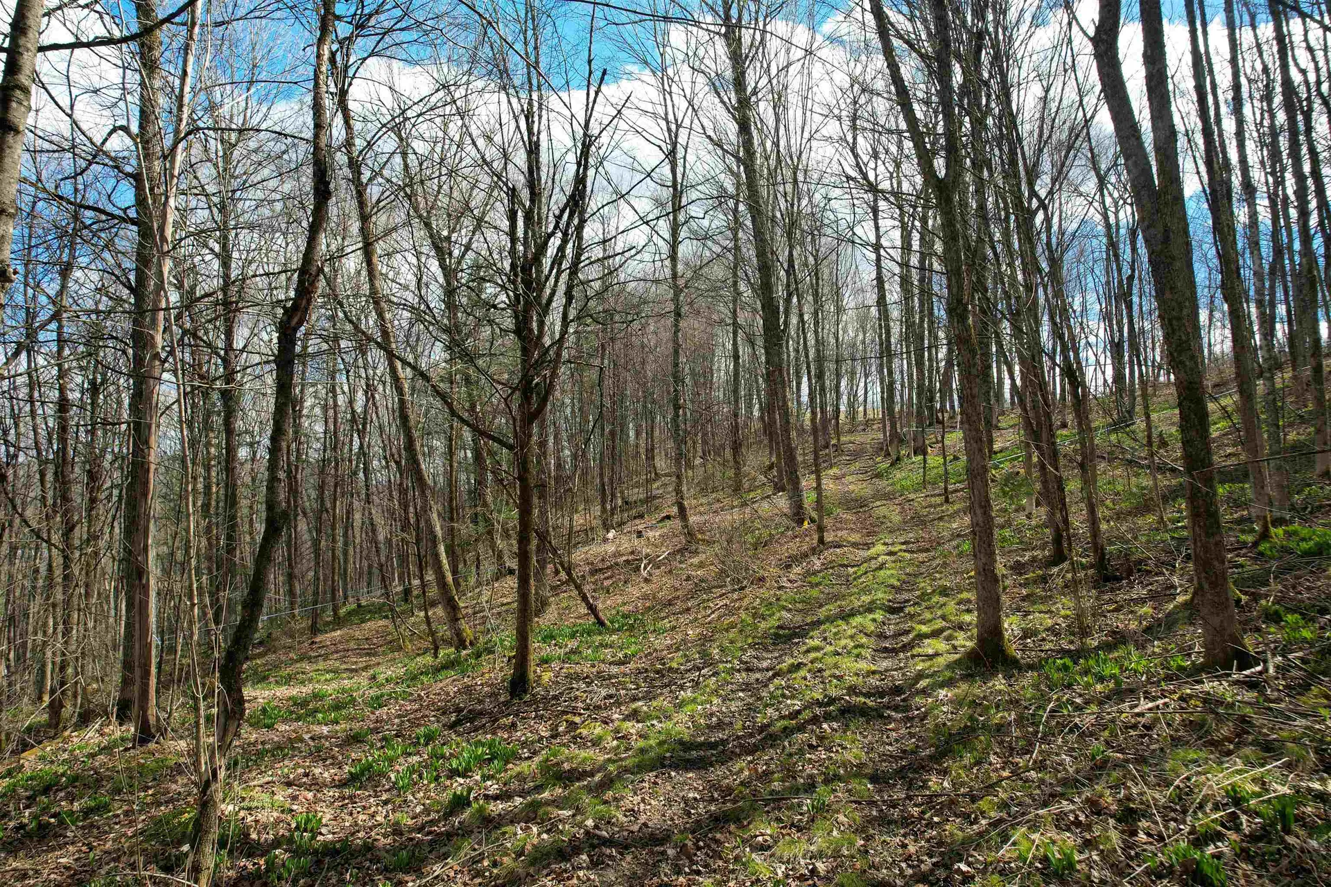 604 Lapierre Drive St. Johnsbury VT 05819