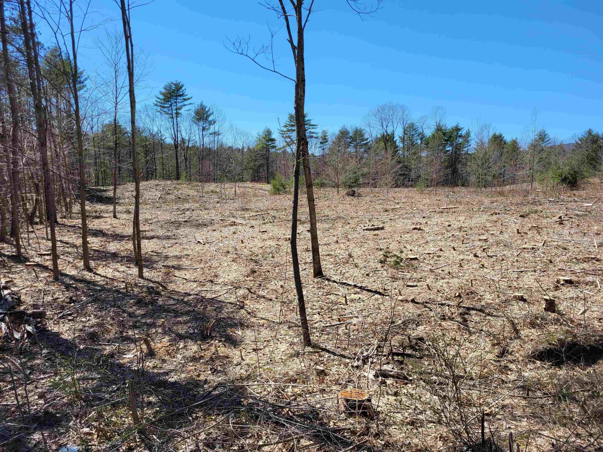 Lot 1 Depot Street Andover NH 03216