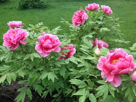 2672 Weybridge Road Weybridge VT 05753