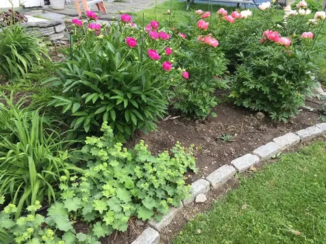 2672 Weybridge Road Weybridge VT 05753