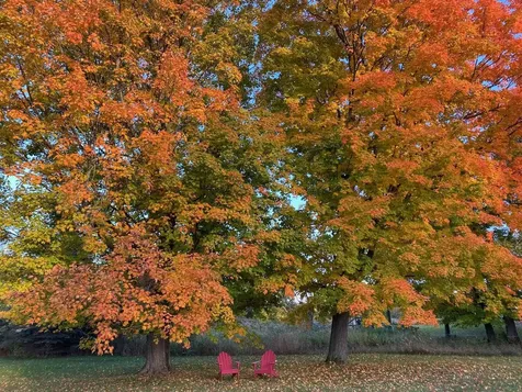 2672 Weybridge Road Weybridge VT 05753