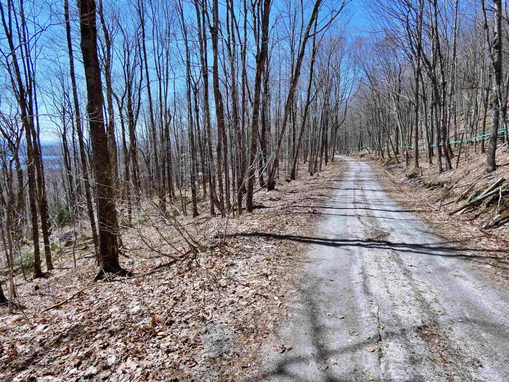 0 Toad Pond Road Morgan VT 05853