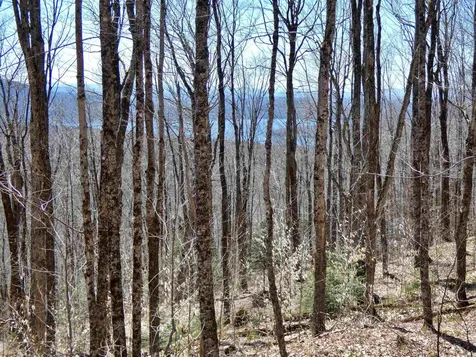 0 Toad Pond Road Morgan VT 05853