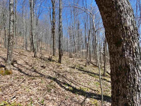 0 Toad Pond Road Morgan VT 05853