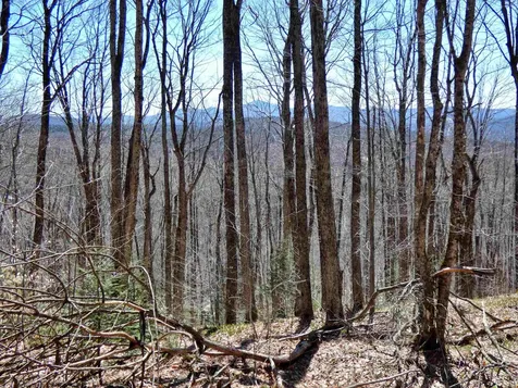 0 Toad Pond Road Morgan VT 05853