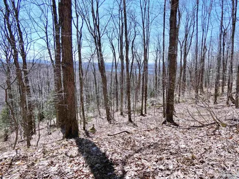 0 Toad Pond Road Morgan VT 05853