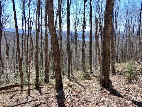 0 Toad Pond Road Morgan VT 05853