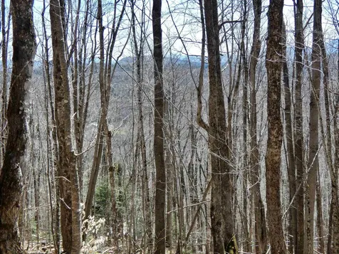 0 Toad Pond Road Morgan VT 05853