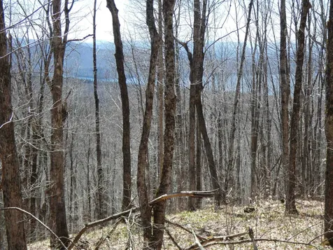 0 Toad Pond Road Morgan VT 05853