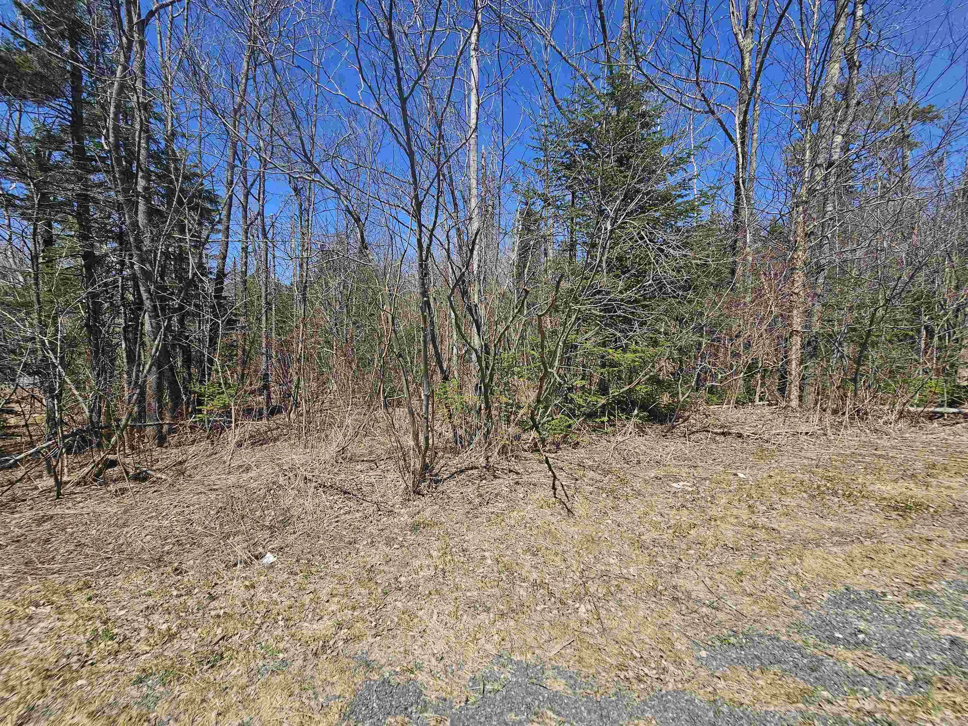 336 Dover Hill Road Dover VT 05356