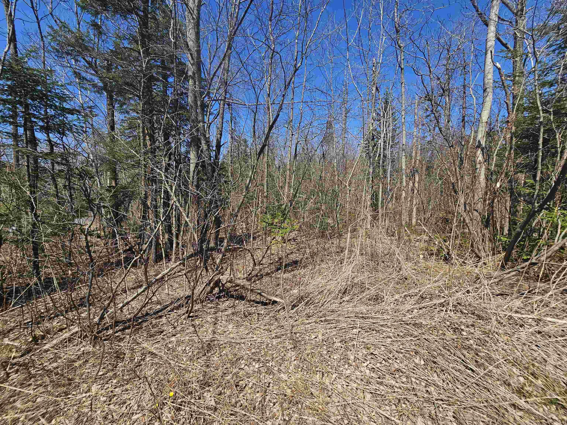 336 Dover Hill Road Dover VT 05356